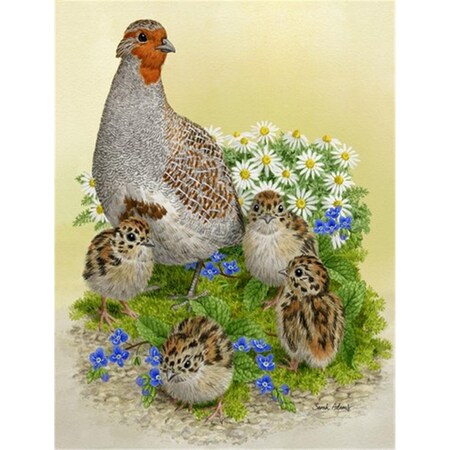 Carolines Treasures Partridge And Chicks Flag Canvas House Size ASA2162CHF